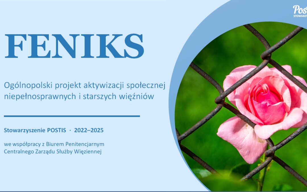 Program FENIKS 2022–2025 – podsumowanie